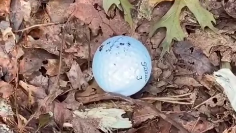 ARE YOU ALLOWED TO HIT A BALL THAT IS WOBBLING IN THE WIND?